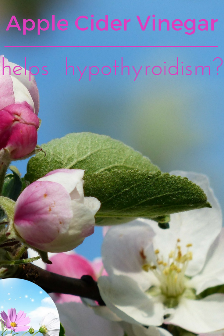 does apple cider vinegar help with hypothyroidism