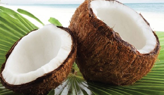 coconut oil for thyroid health
